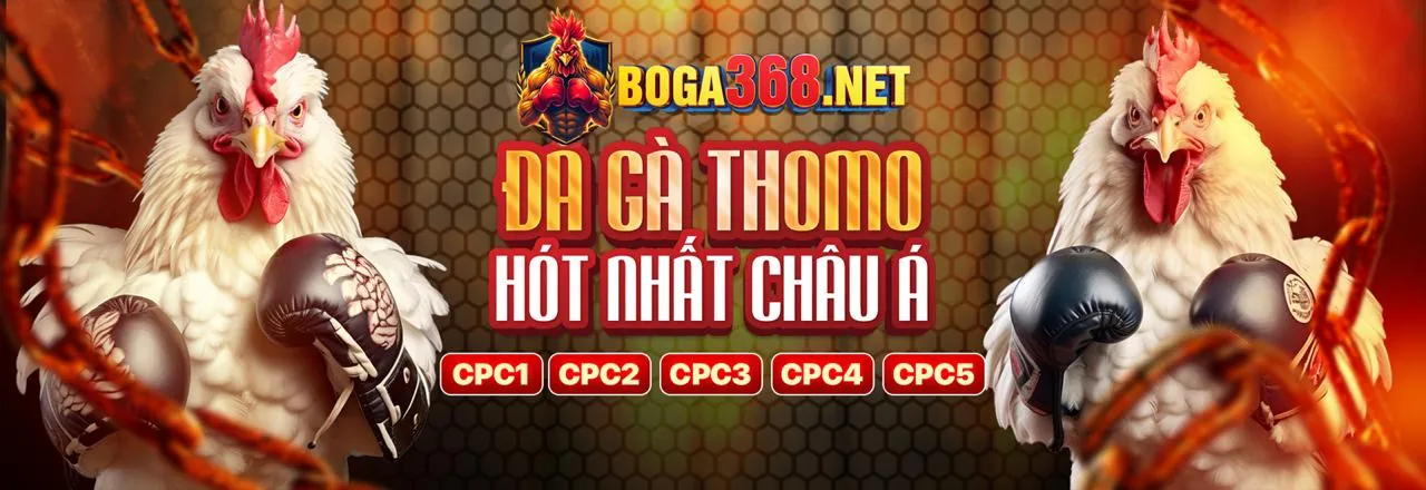 Các phương thức nạp tiền tại Zowin Game